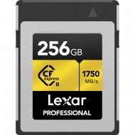 Lexar 256 GB Professional CFexpress Type B Card