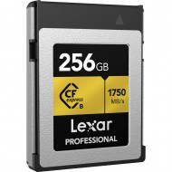 Lexar 256 GB Professional CFexpress Type B Card