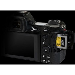 Lexar 256 GB Professional CFexpress Type B Card