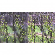 Hoya PRO ND 16 52mm (4 Stop)