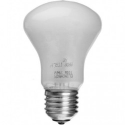 Elinchrom 100 W - 196 V E27 Model Ampulu