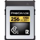 Prograde 256GB CFexpress 2.0 Type B Gold Hafıza Kartı